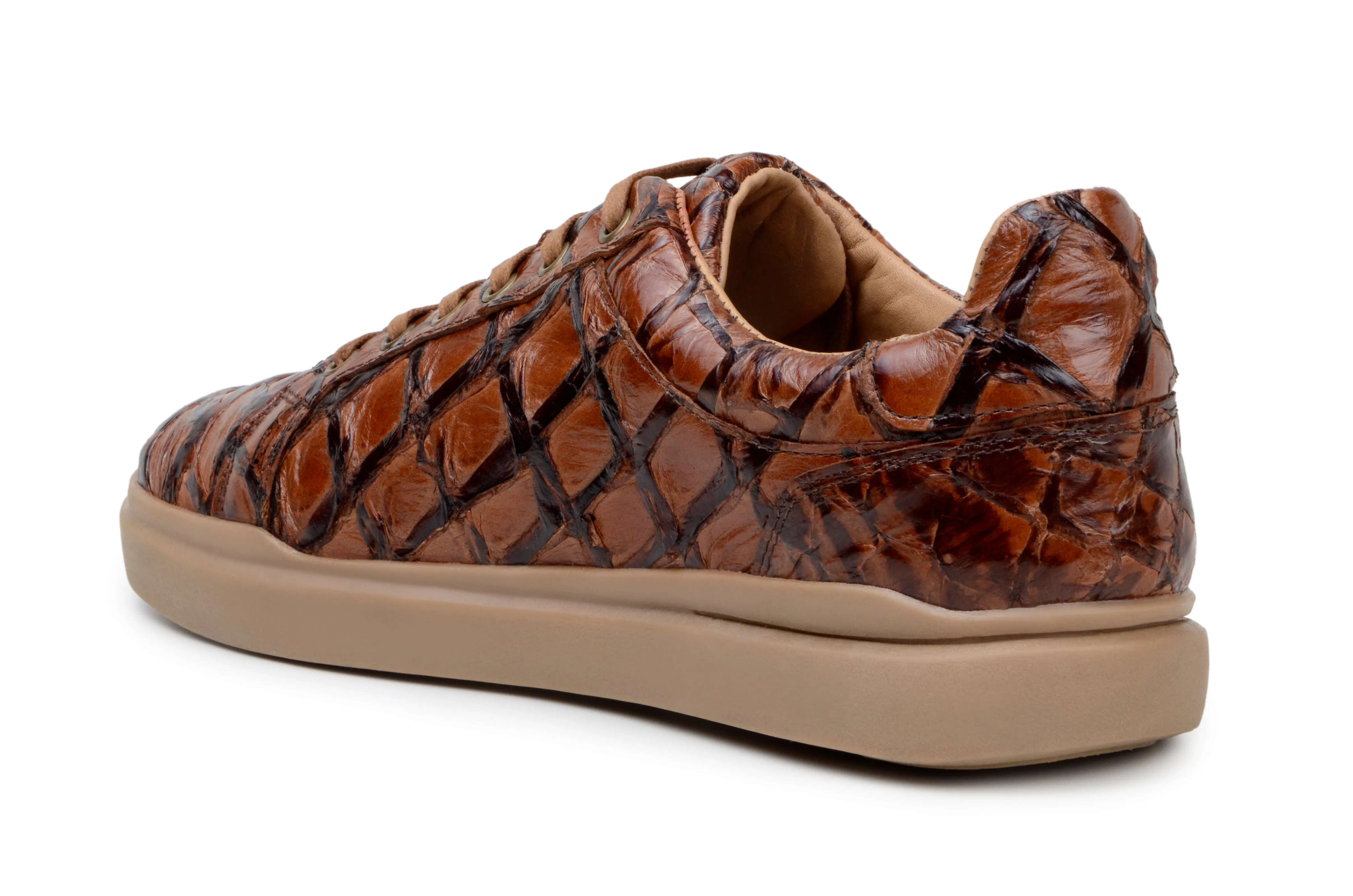 Rock Hike Recycled Synthetic Upper Belvedere Kingstone Exotic Genuine Pirarucu Leather Sneakers in Antique Almond