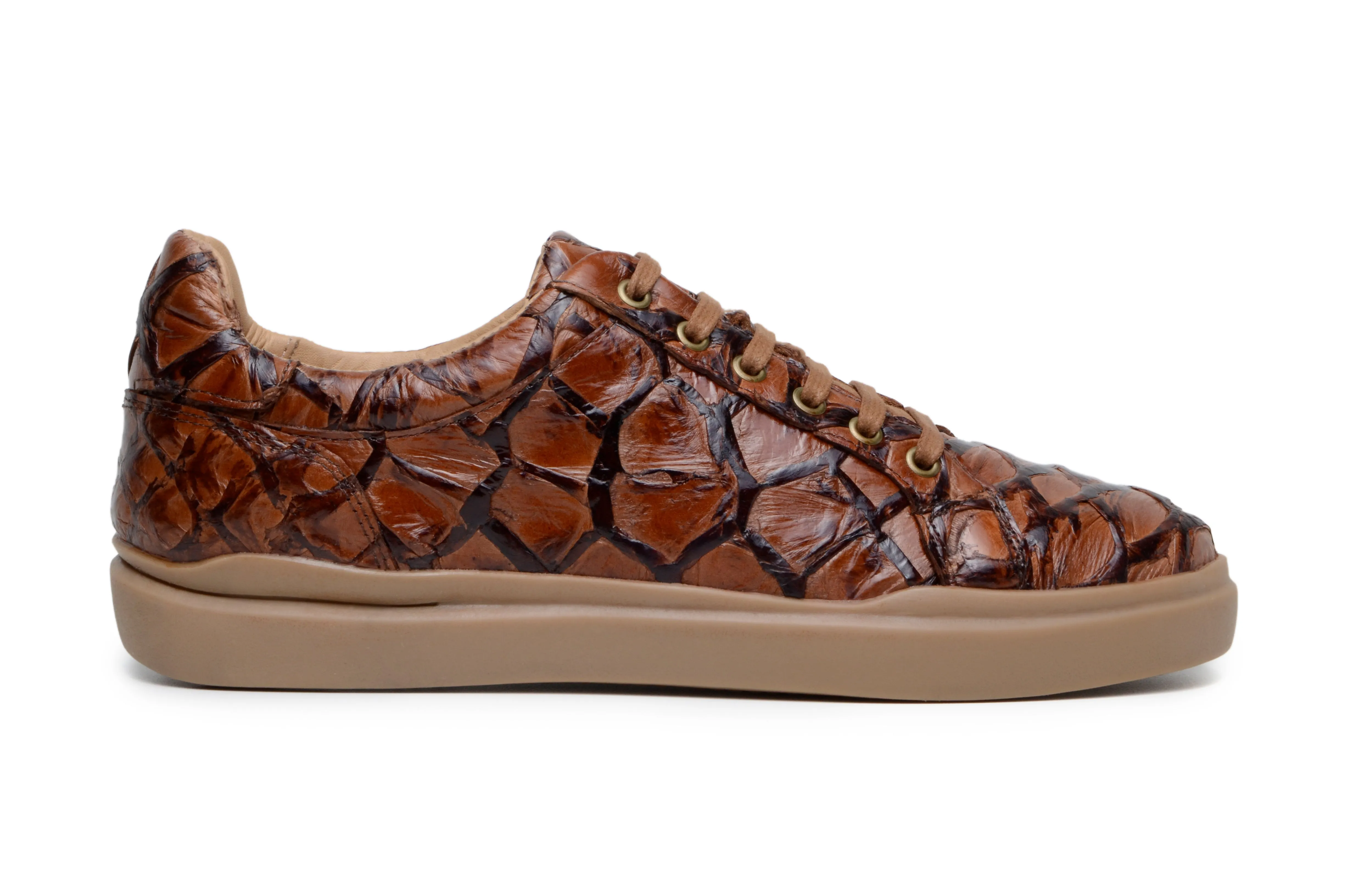 Clear Hike Belvedere Kingstone Exotic Genuine Pirarucu Leather Sneakers in Antique Almond