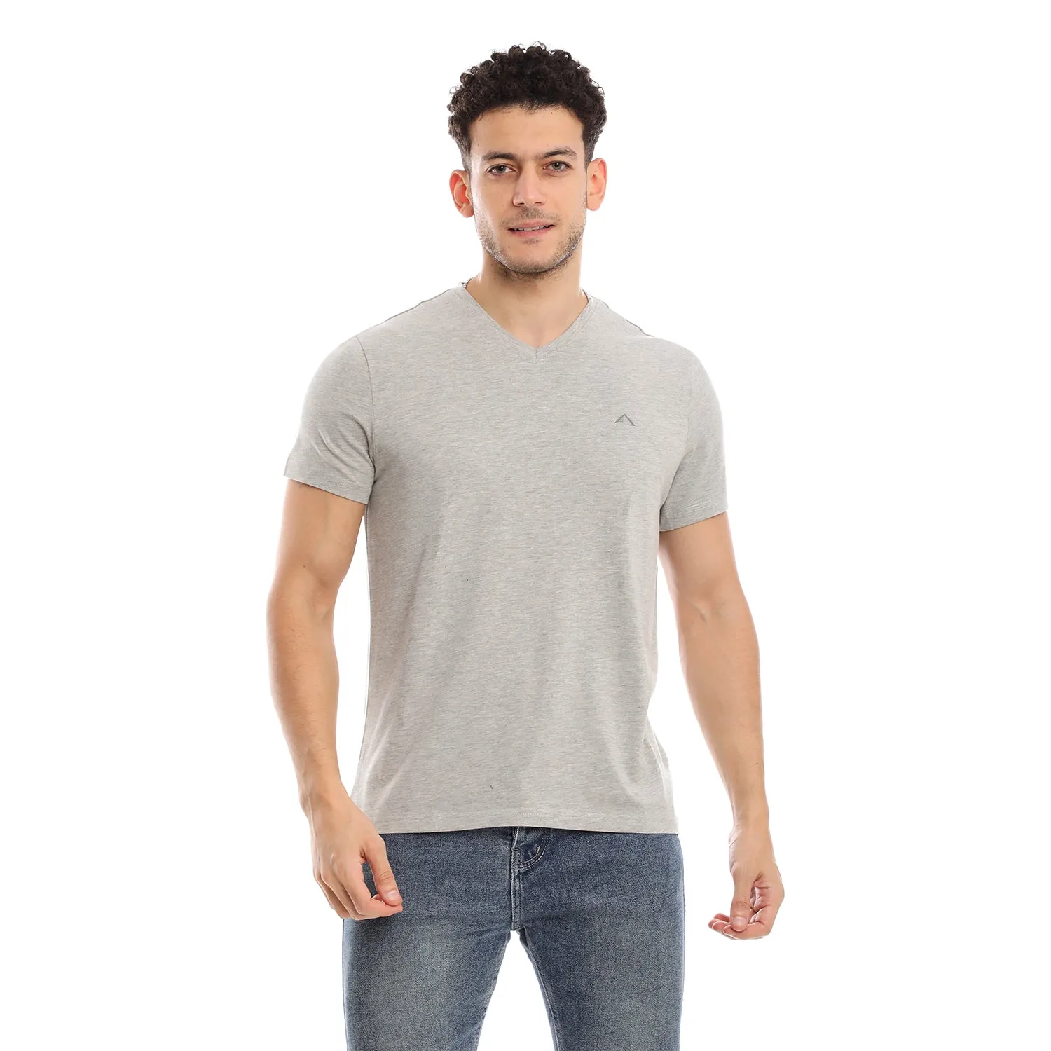 BLACK & H. GREY CLEOCOTTON PREMIUM V-NECK MODAL STRETCH LOGO T-SHIRT - 2 PK Trendy All-Day