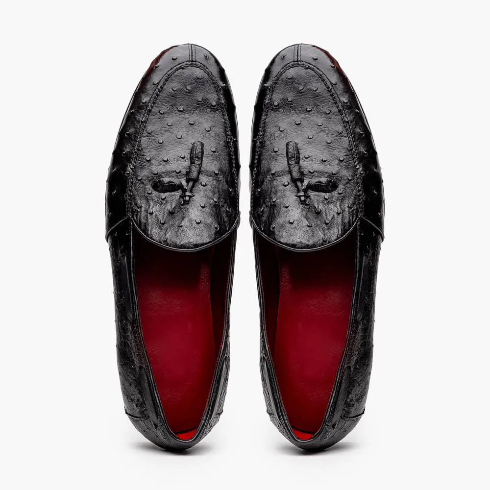 Aubiere Black Basic Fit