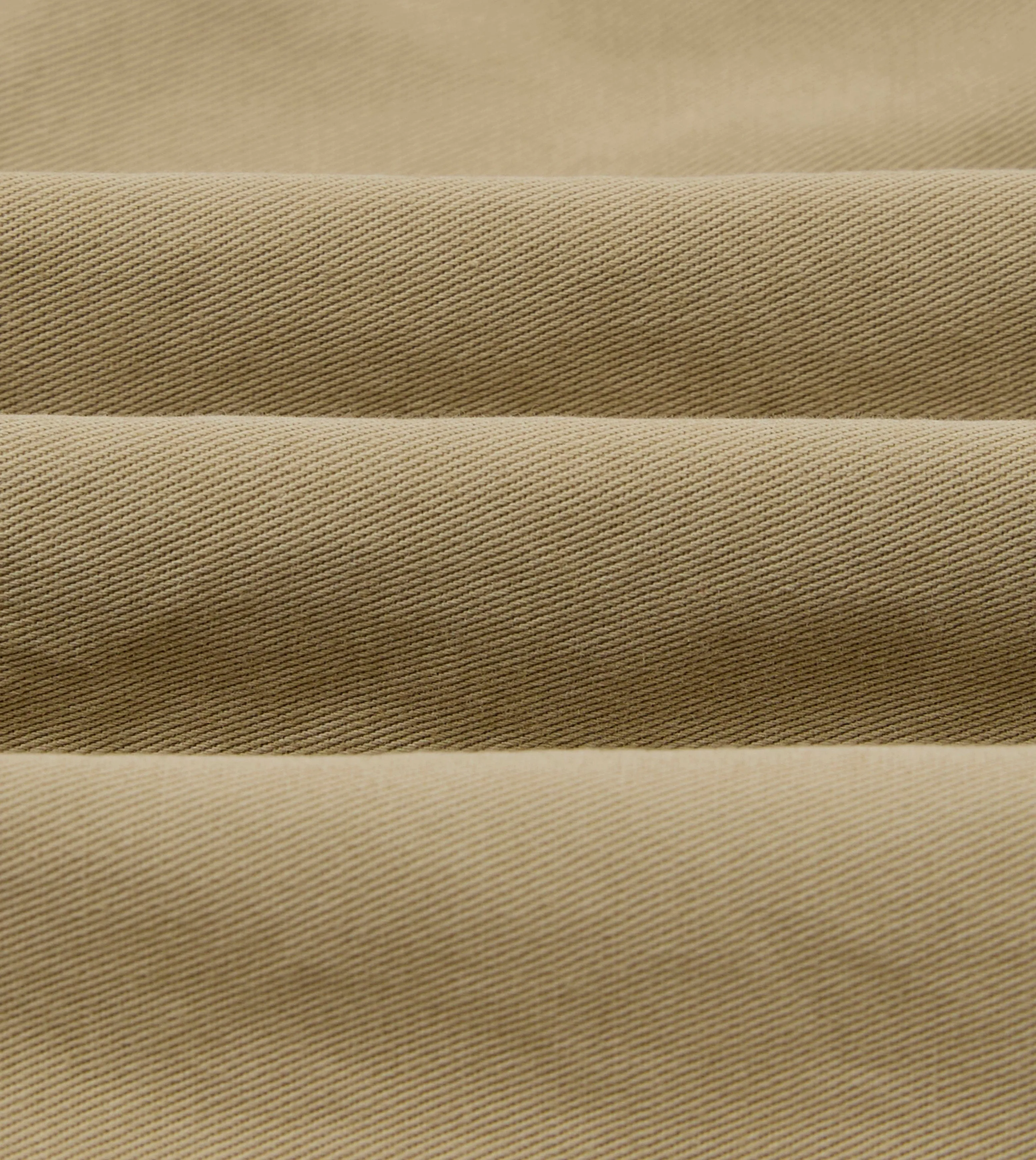 Putty Cotton Wide Leg Double-Pleat Shorts Flexible Material tall sizing