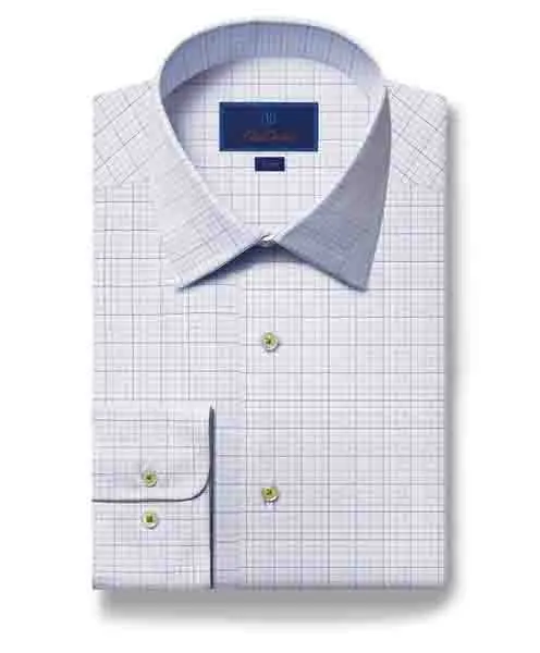 Resort Wear Checkered Style David Donahue Trim Fit Fine Check Dress Shirt in White/Green