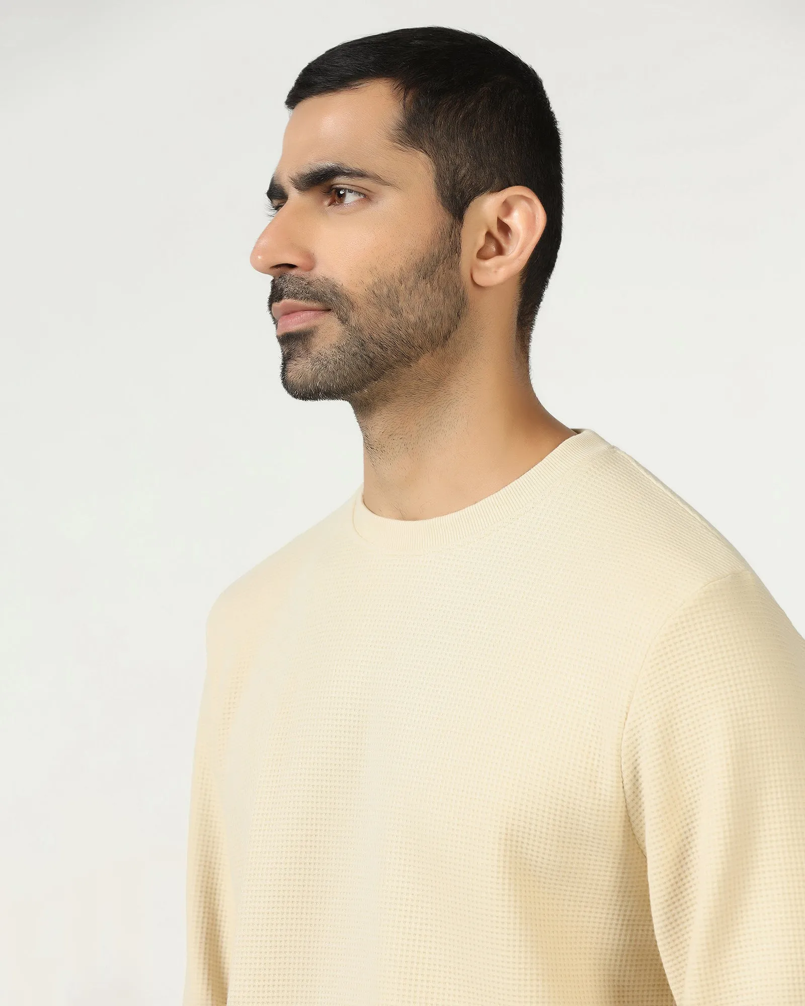Regular Fit Work Mix Beige Crew Neck Textured Sweatshirt - Pan