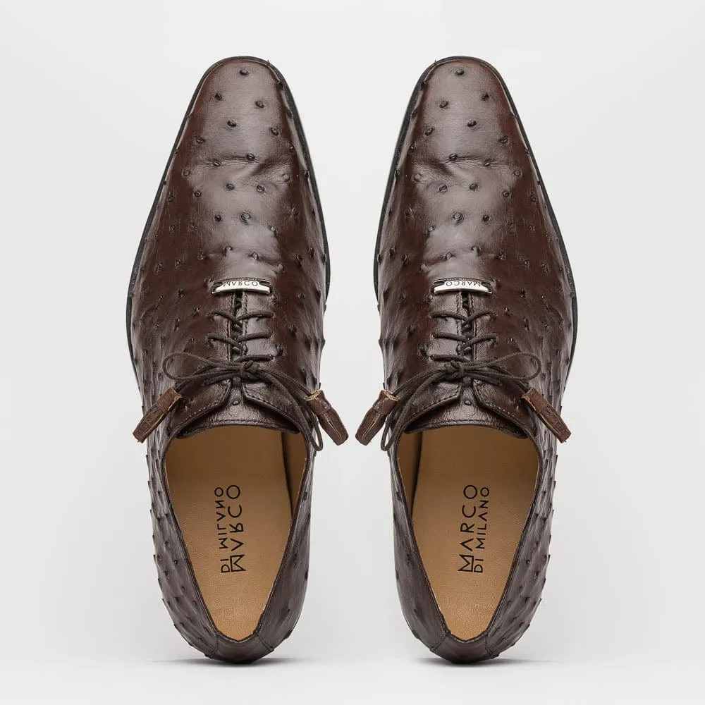 True Match Criss  Brown