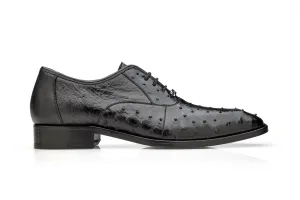 Work Ready Belvedere - Orlando, Genuine Ostrich Quill Dress Shoe - Black - D01 (IN STORE) (SIZE 8.5, 11.5 and 15 ONLY)
