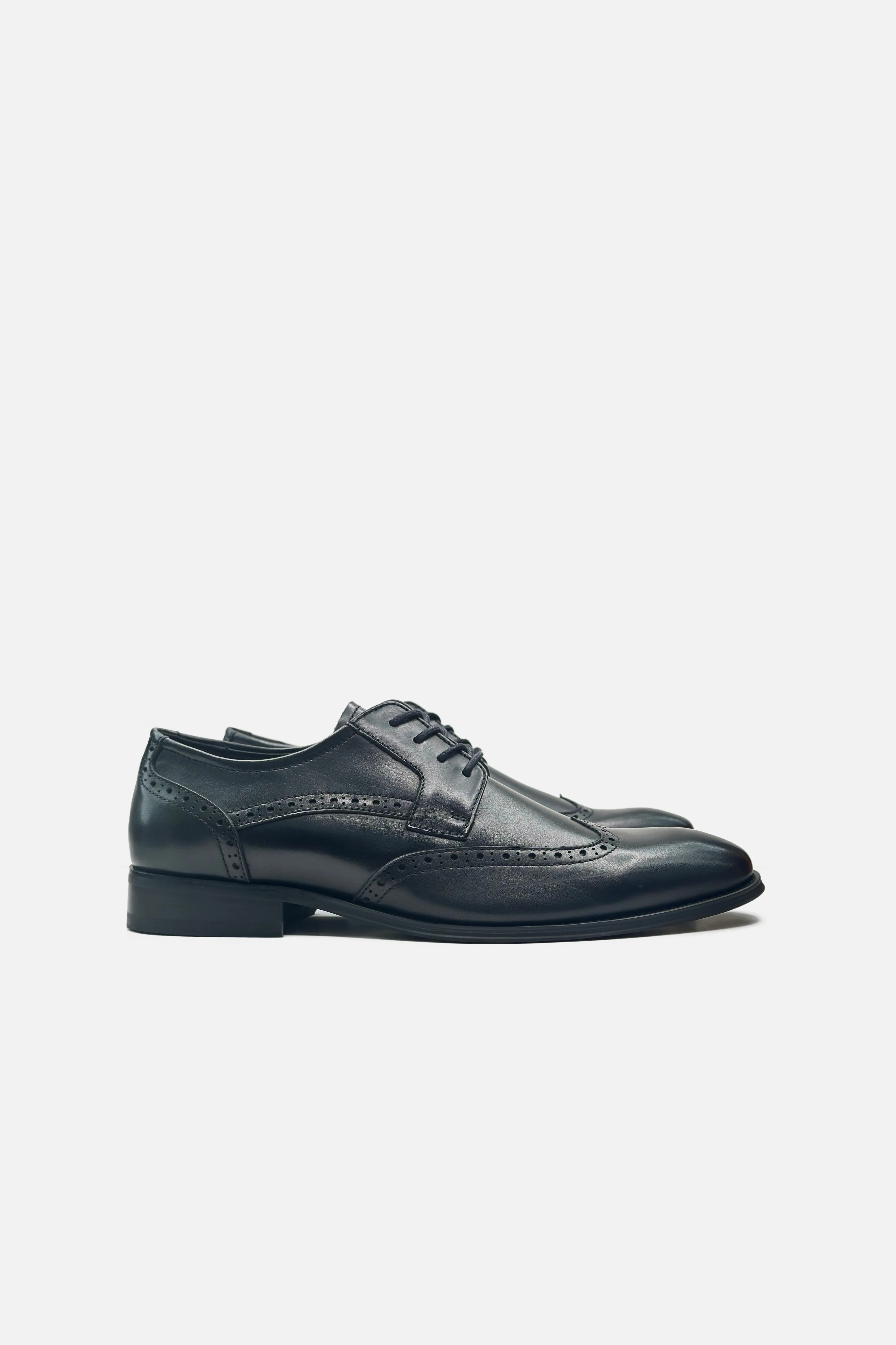 Atwood Wingtip Shoes Daily Professional