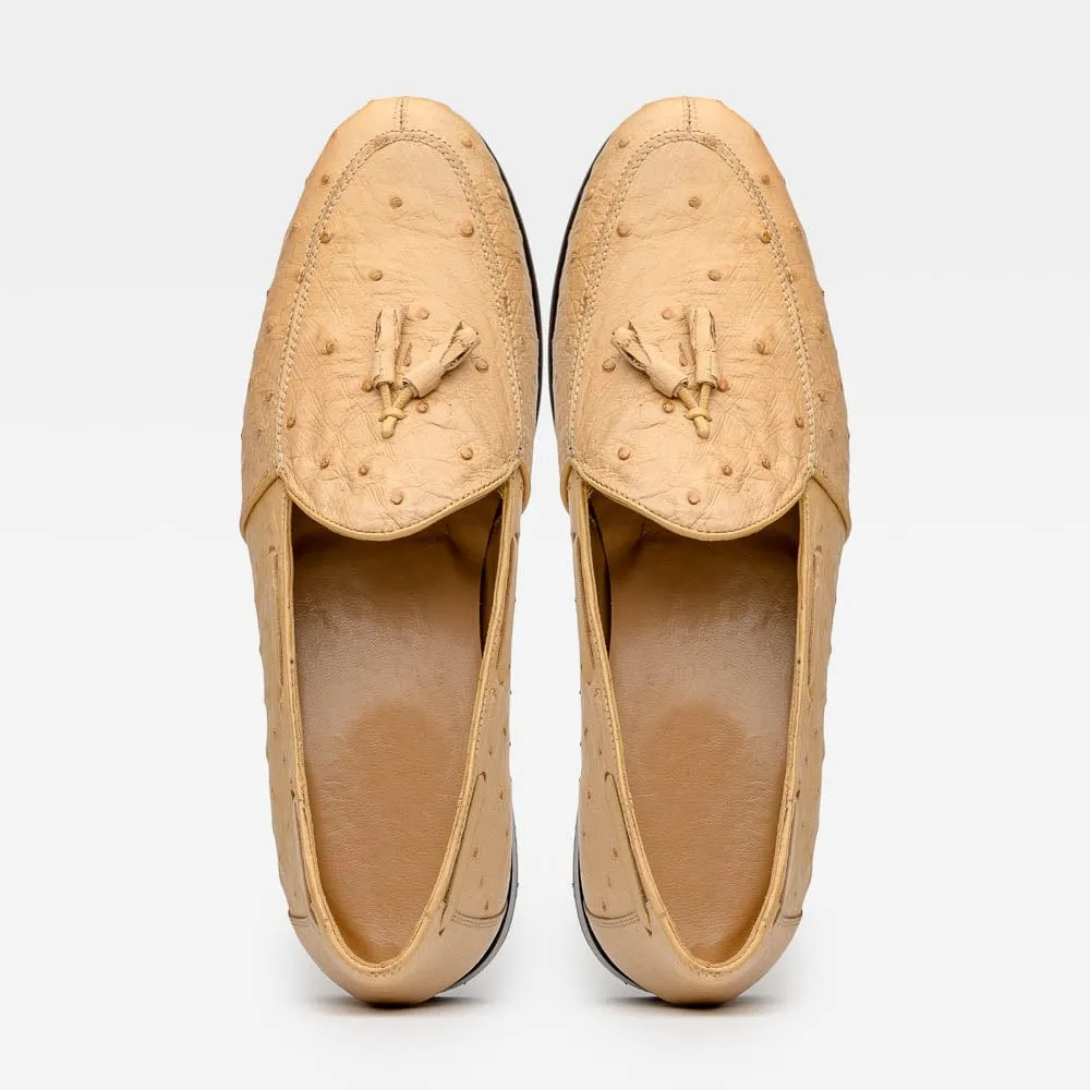 Neat Outline Earth Tone Aubiere Orix