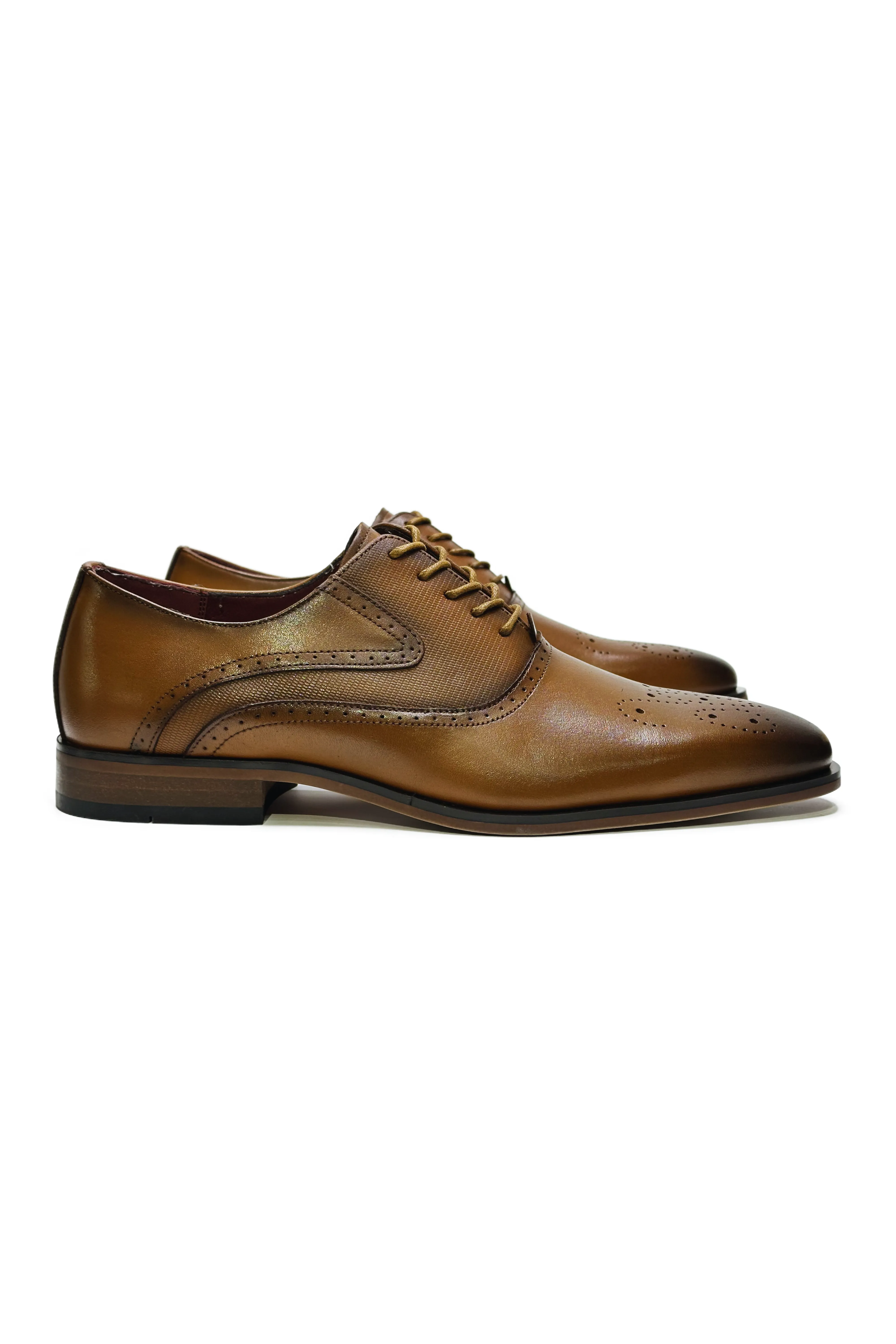 Gamino Oxford Shoes Crisp Edge