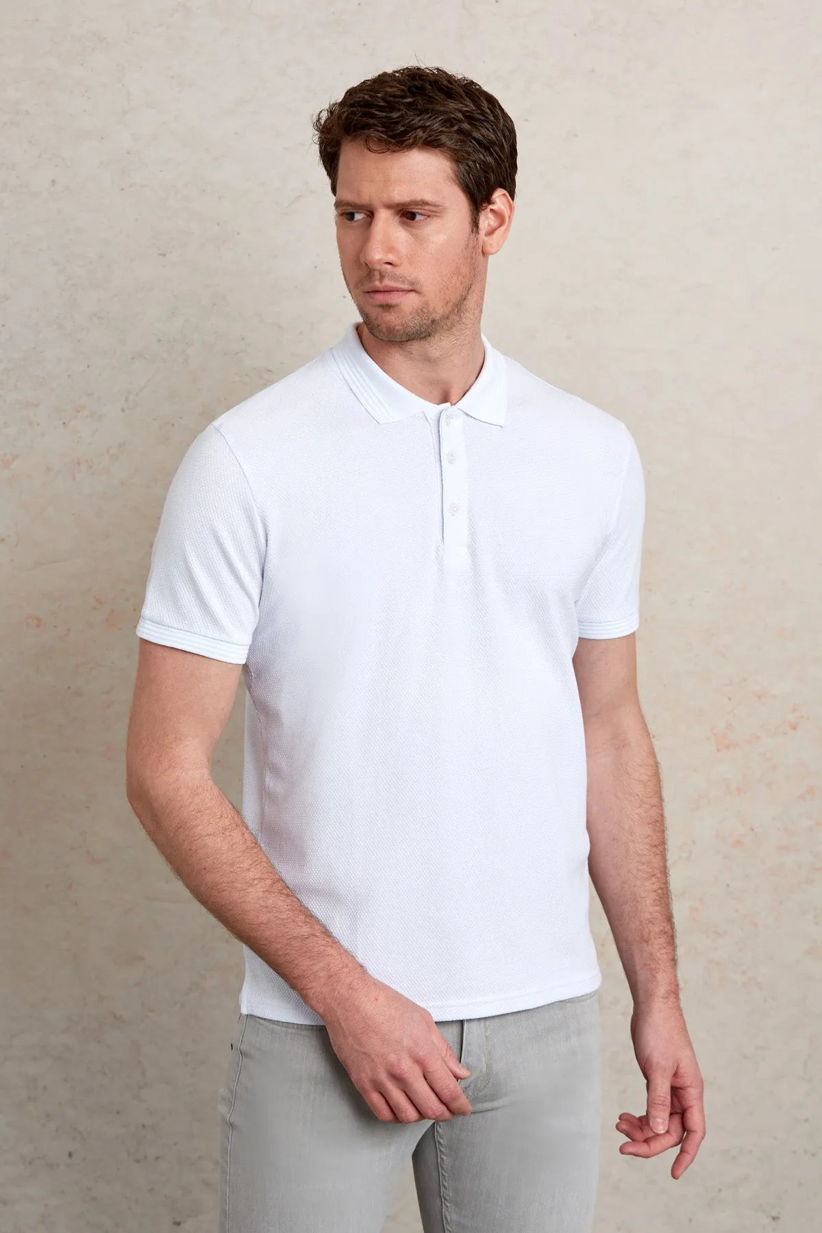 ButtonDown Collar Regular Fit White Cotton Polo T-Shirt