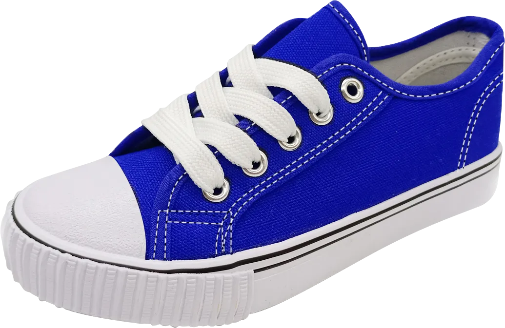 Timeless Look Royal Blue Lace Up Classic Canvas Men's Shoes SP643