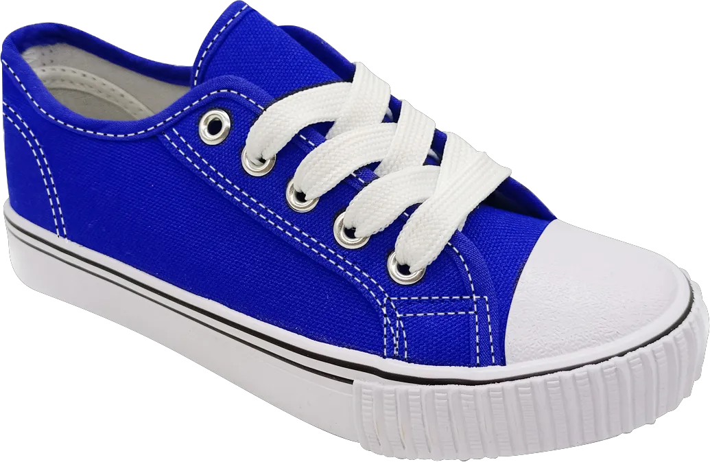 Royal Blue Lace Up Classic Canvas Men's Shoes SP643 Cool Design Neutral Colors