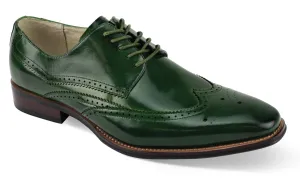 Dark Edge Field Power Bennu Collection: Gentlemen Classic Wingtip Lace Shoes in Olive