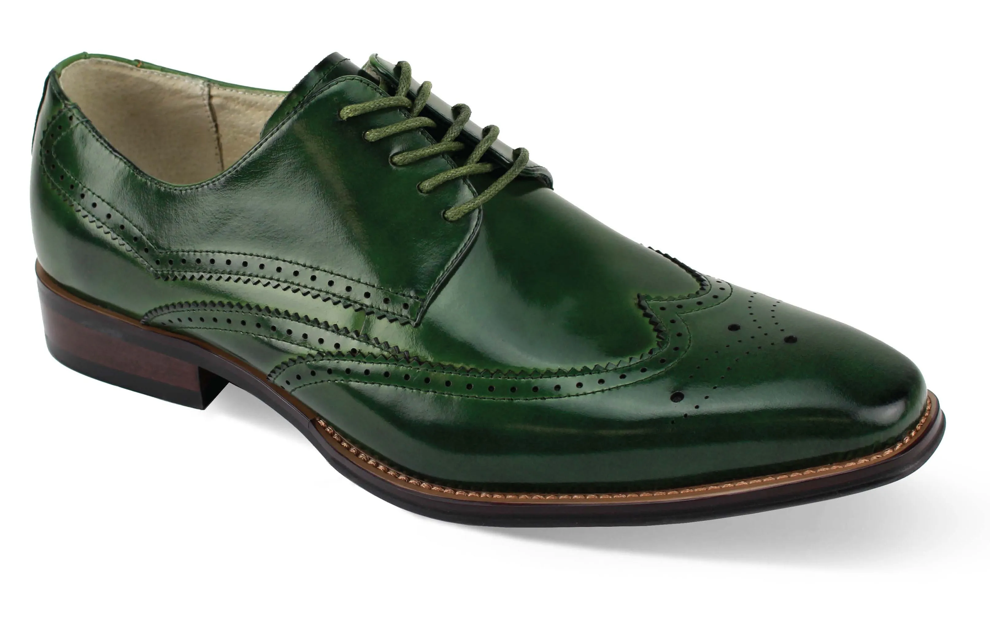 Retro Core Bennu Collection: Gentlemen Classic Wingtip Lace Shoes in Olive