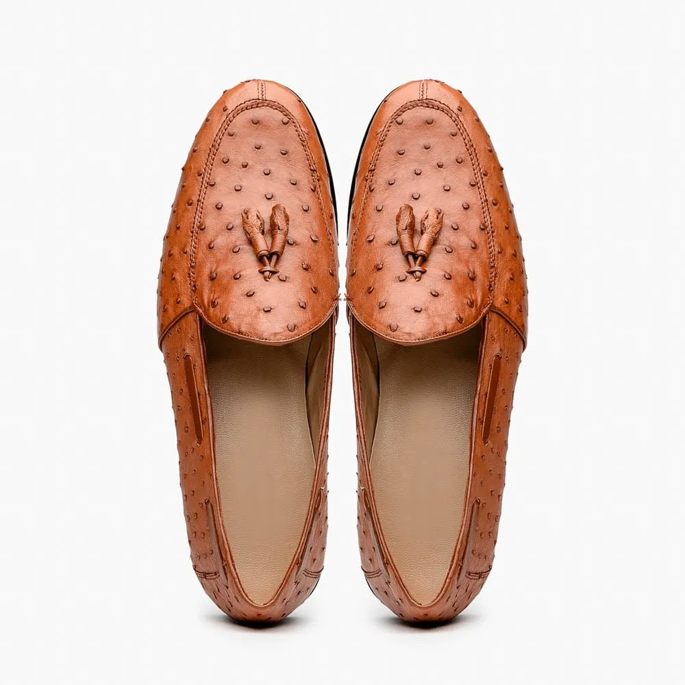 Water shield Occasion Shade Aubiere Cognac